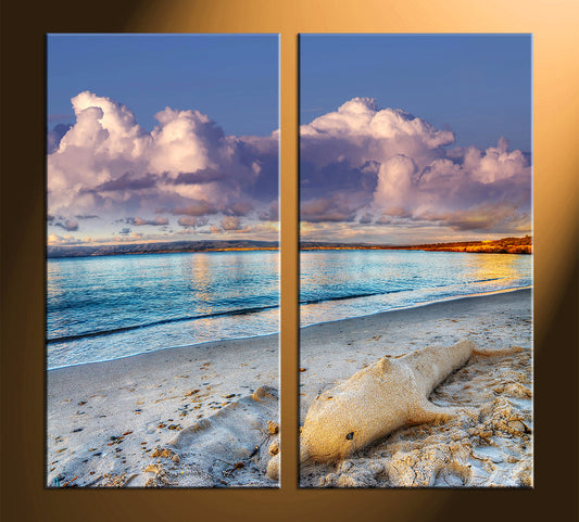 Custom Split Canvas Prints 2 Pieces Canvas Frames Art