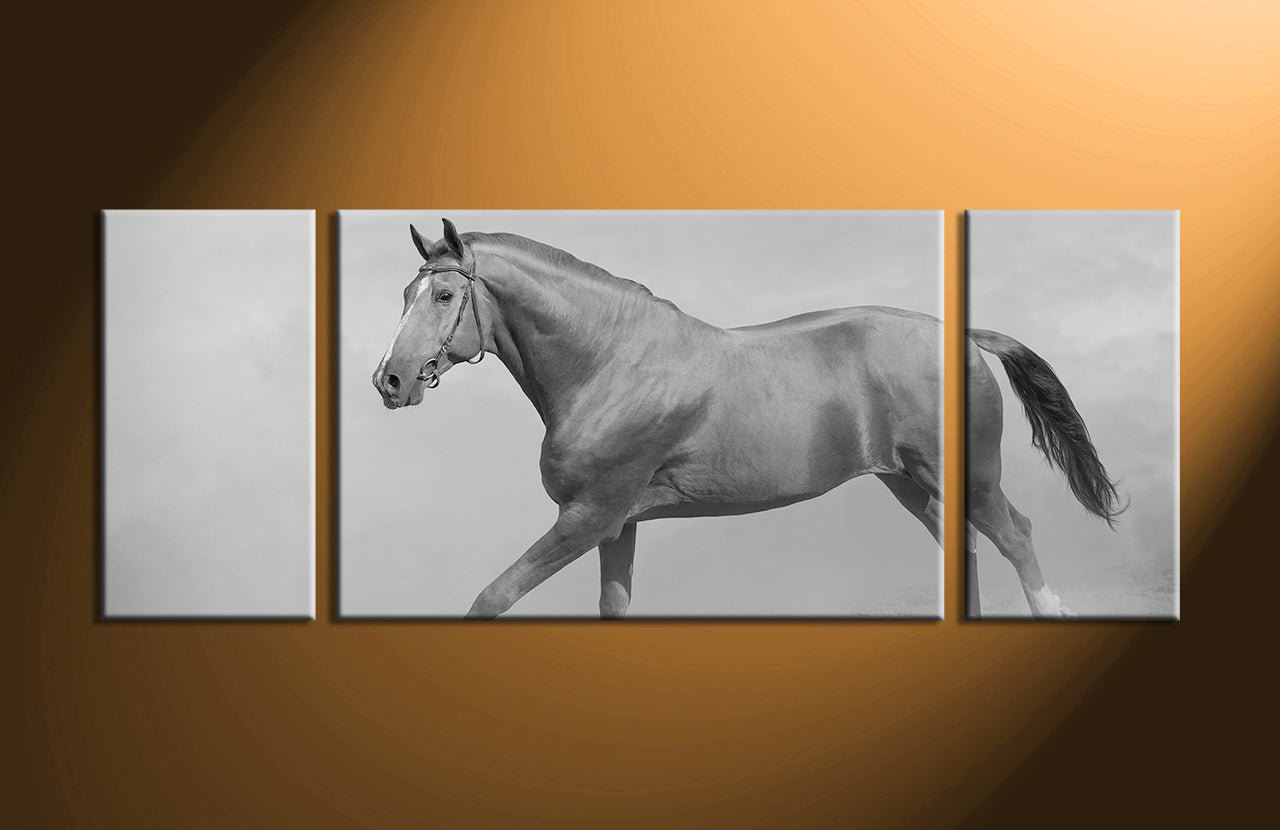 Custom Split Canvas Prints 3 Panels Frames