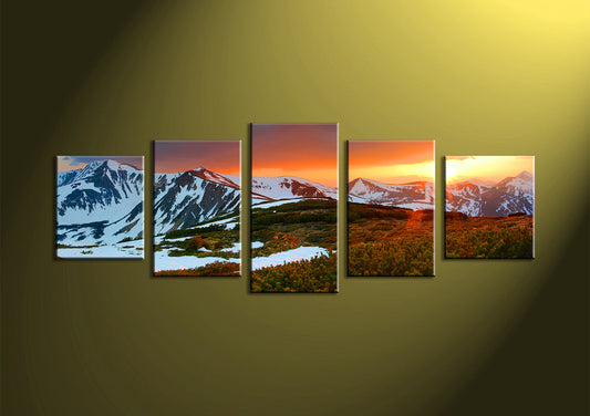 Custom 5 Piece Split Canvas Prints 24x60" (Large)