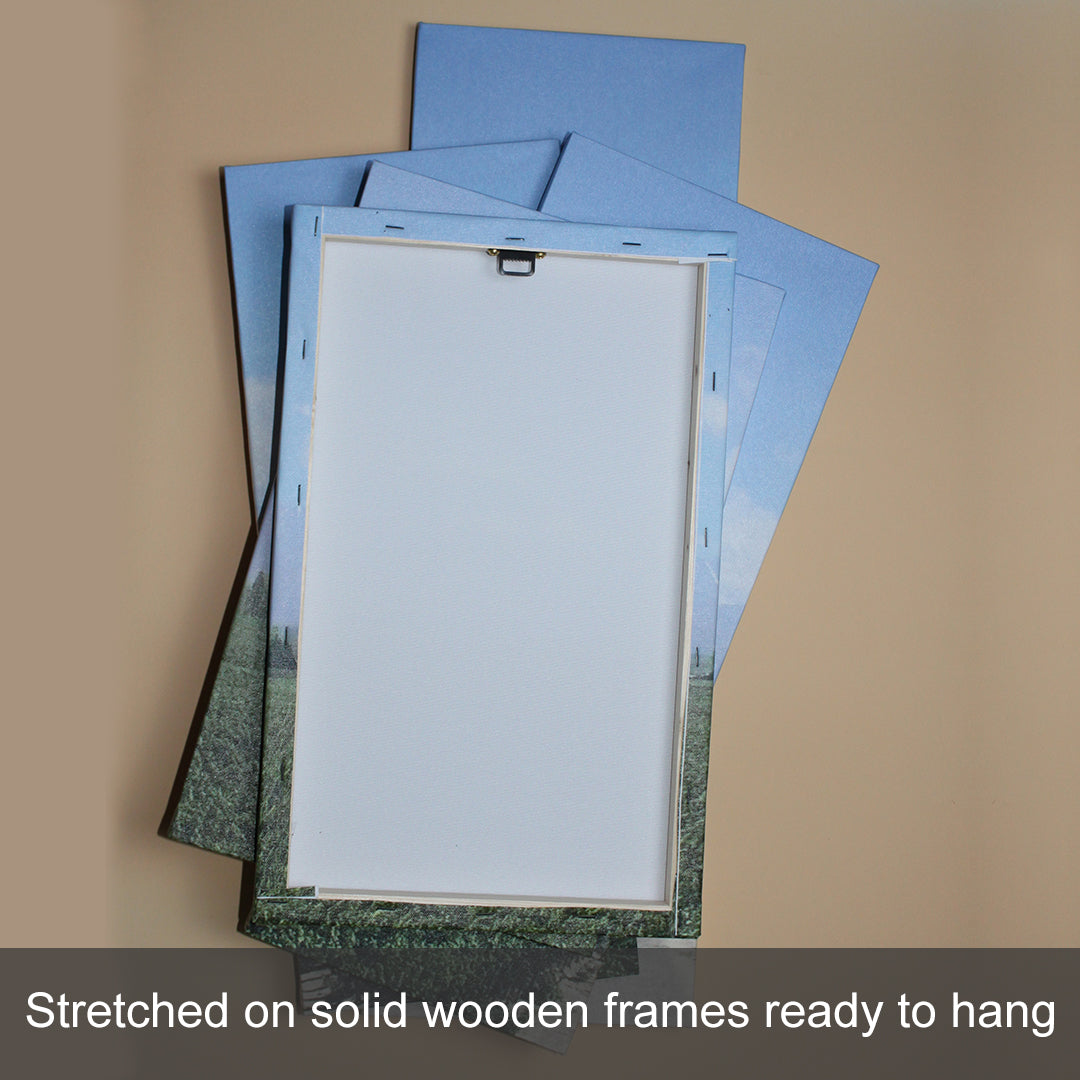 Custom Split Canvas Prints 2 Panles Frames Portrait
