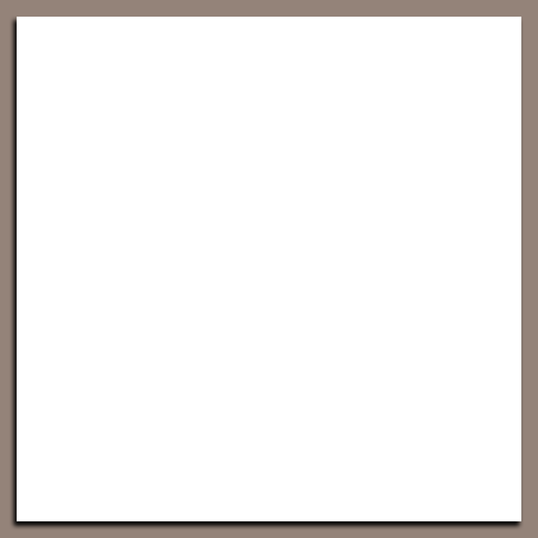 Custom Canvas Prints Square