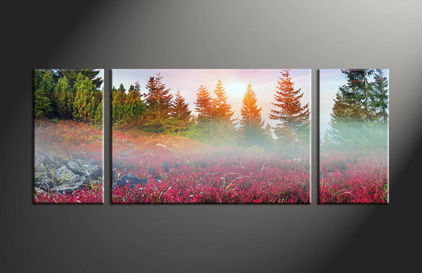 Custom Split Canvas Prints 3 Panels Frames