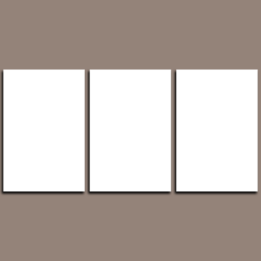 Custom Split Canvas Prints 3 Panel Frames Canvas Art
