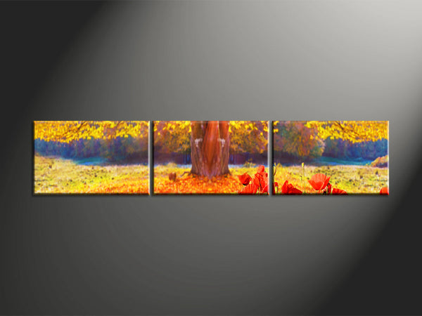 Custom Split Canvas Prints 3 Pieces Frames Landscape