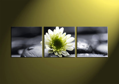 Custom Split Canvas Prints 3 Panles Frames Square
