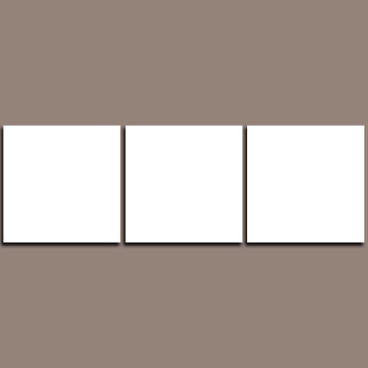 Custom Split Canvas Prints 3 Panles Frames Square