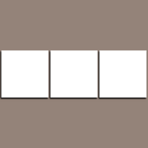 Custom Split Canvas Prints 3 Panles Frames Square