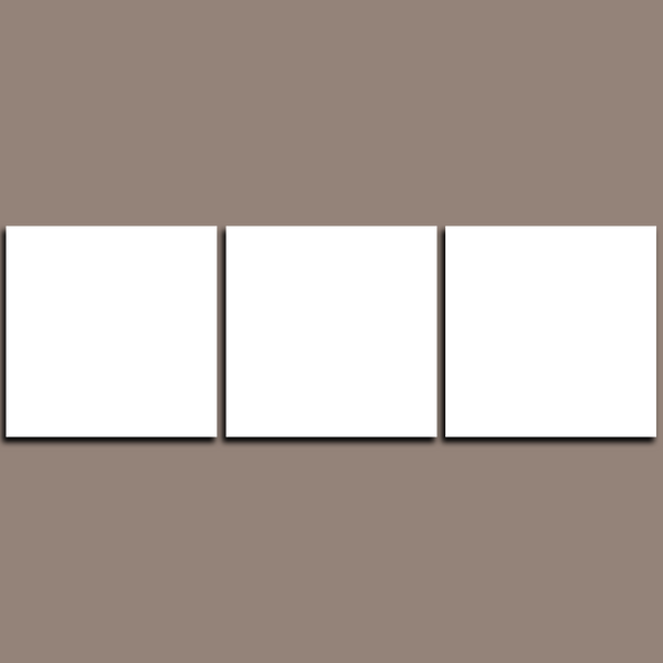 Custom Split Canvas Prints 3 Panles Frames Square